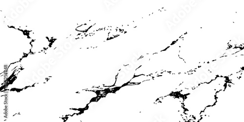 A high-contrast, black and white abstract pattern resembling intricate, organic veins or shattered glass against a pristine white background.
