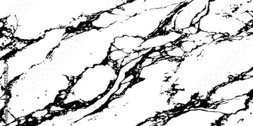 A high-contrast, black and white abstract pattern resembling intricate, organic veins or shattered glass against a pristine white background.