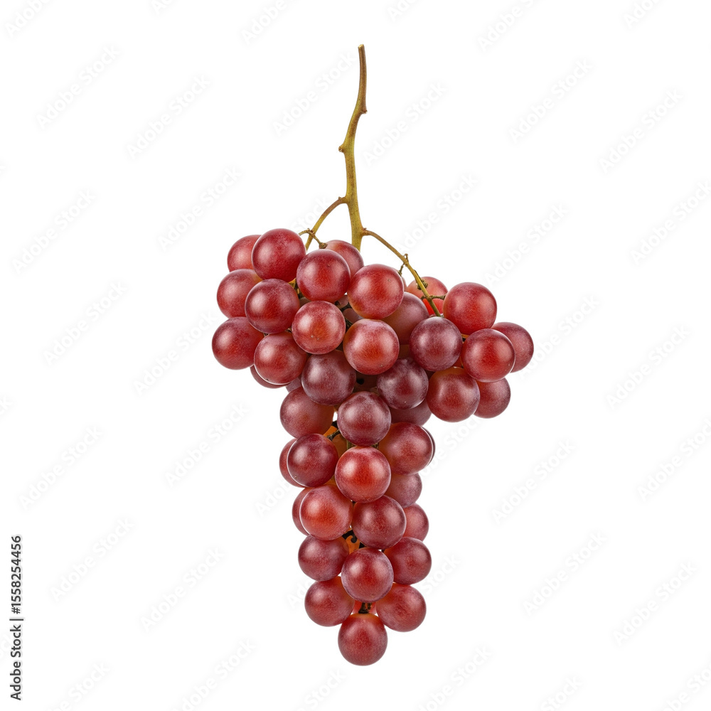 Fresh Red Grapes on the Stem - Sweet and Juicy Fruit Fresh Red Grapes on the Stem - Sweet and Juicy Fruit