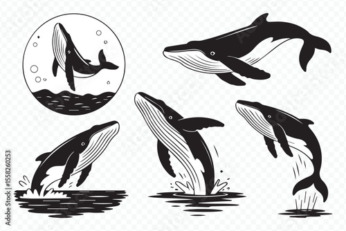 humpback whale vector illustration, adult and calf ocean silhouette, black and white marine design