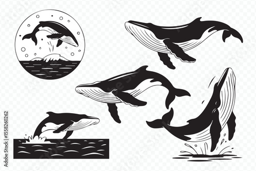 set of humpback whale vector graphics, mother and calf breaching and diving ocean wildlife art