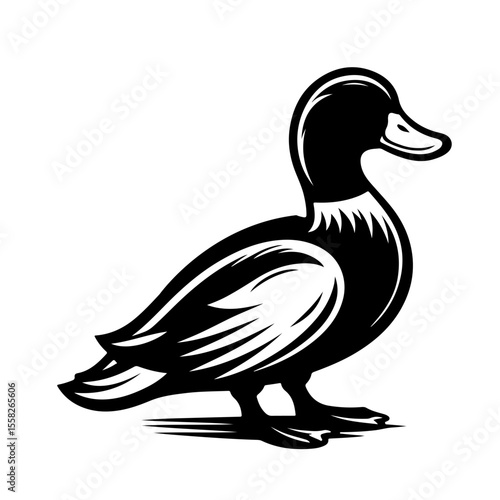 duck black and white vector illustration, isolated on white background