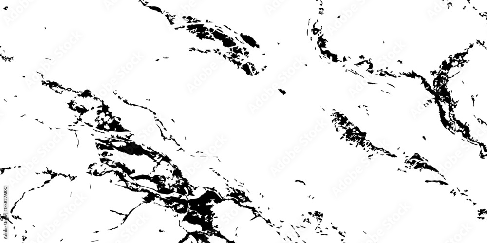 Obraz premium A high-contrast, black and white abstract pattern resembling intricate, organic veins or shattered glass against a pristine white background.