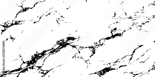 A high-contrast, black and white abstract pattern resembling intricate, organic veins or shattered glass against a pristine white background.