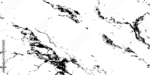 A high-contrast, black and white abstract pattern resembling intricate, organic veins or shattered glass against a pristine white background.