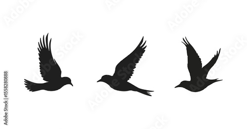 A clean black silhouette illustration of three birds in mid-flight, each captured in a different wing position. The design is minimalist and elegant, ideal for decorative prints, tattoos, or logo use.