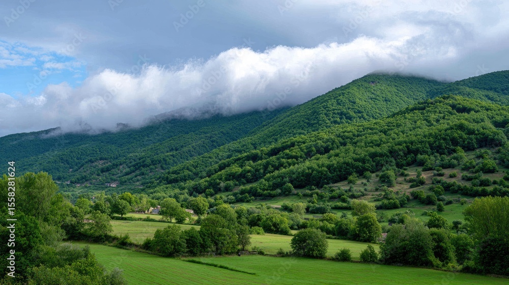 Lush green mountain slope with grazing fields and tree line reaching into clouds Lush green mountain slope with grazing fields and tree line reaching into clouds