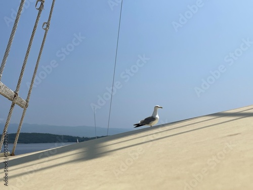 Urlaub, Kroatien, Insel, Krk