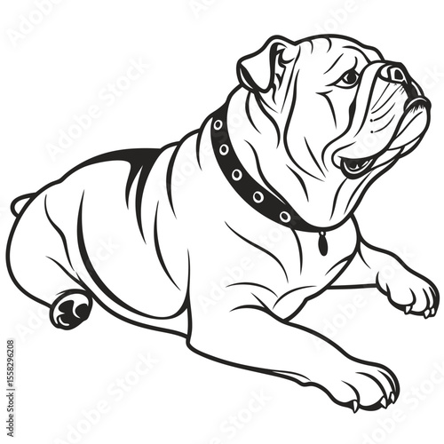 Illustration of a Recumbent English Bulldog in Black and White Outlines