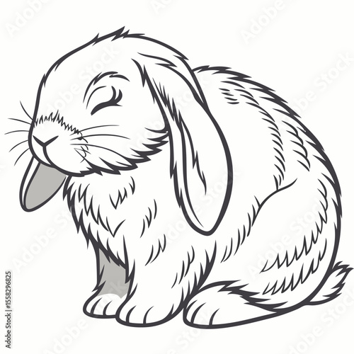 Sleeping Lopeared Bunny Rabbit in Black and White Outline Drawing Illustration