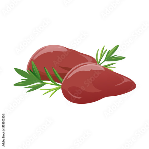 Vector illustration of chicken liver, raw fresh with green rosemary lush green leaves, on white background