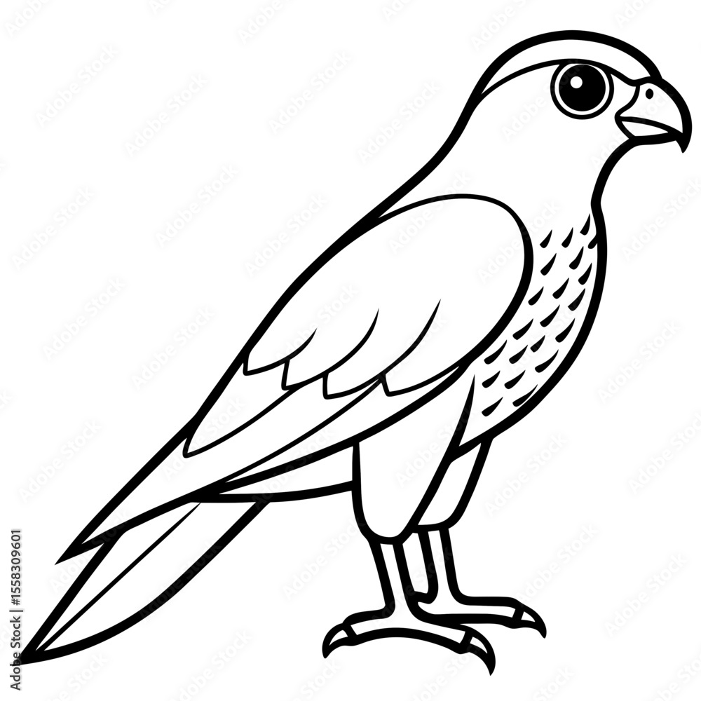 Sparrowhawk Vector Outline Sparrowhawk Vector Outline
