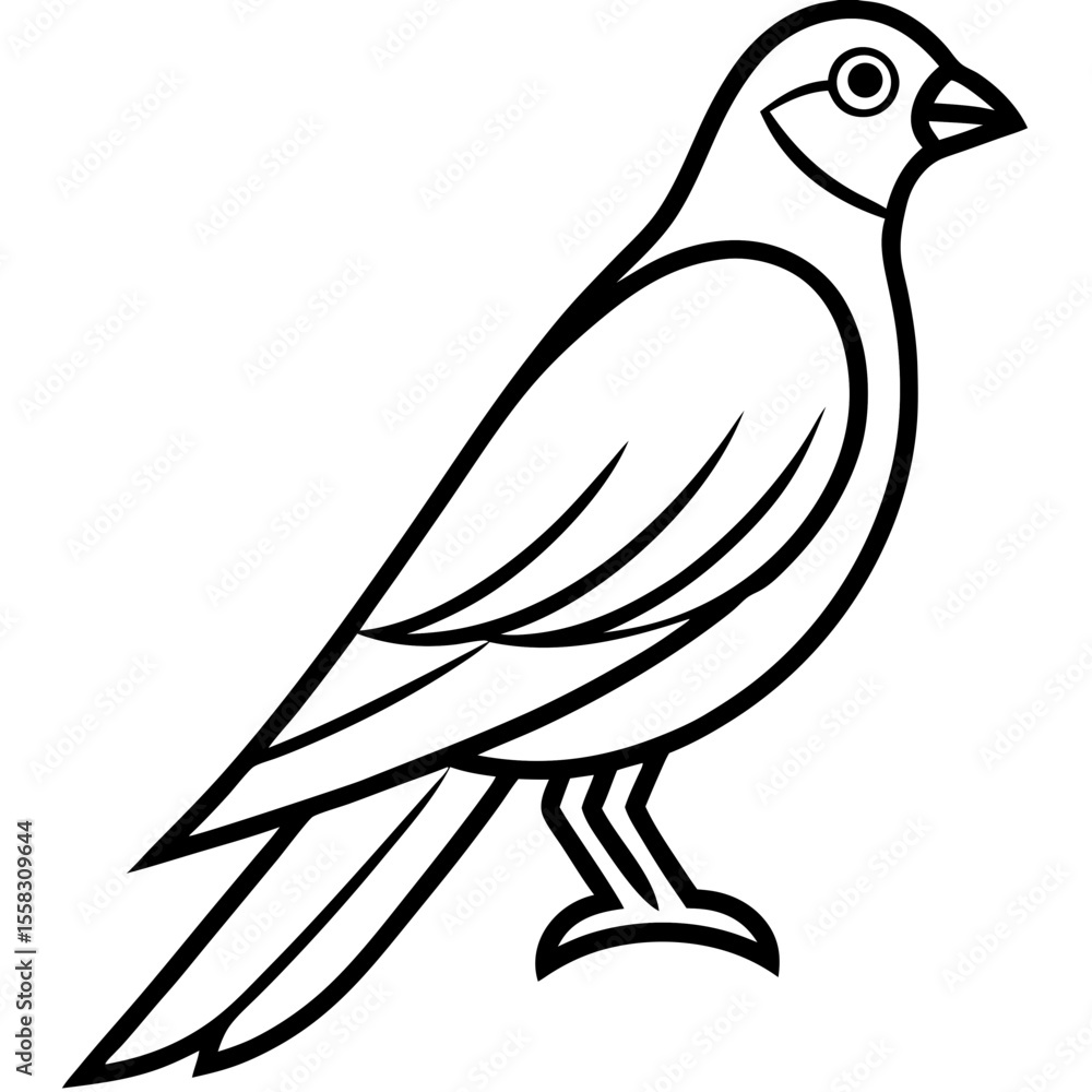 Fototapeta premium Sparrowhawk Vector Outline