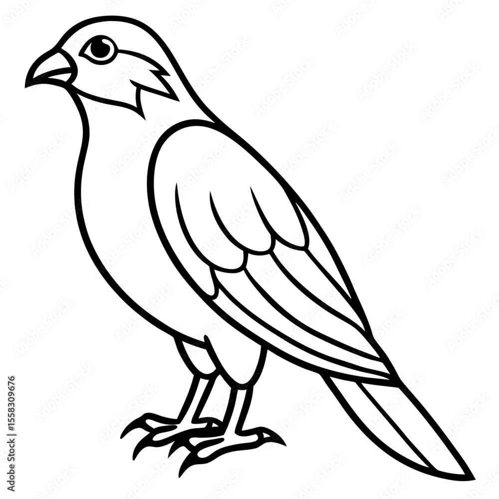 Sparrowhawk Vector Outline Sparrowhawk Vector Outline