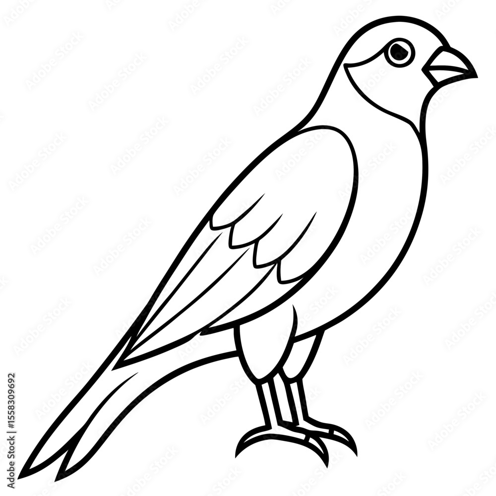 Fototapeta premium Sparrowhawk Vector Outline