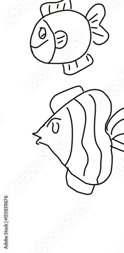 fish vector illustration