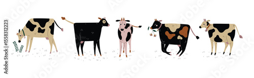 Cow with Udder and Bell Grazing on Pasture as Dairy Cattle Breeding and Farming Vector Set