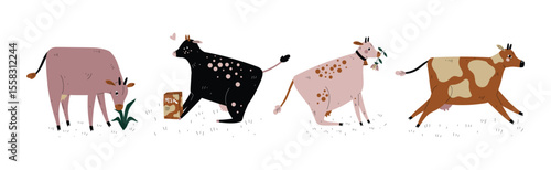 Cow with Udder and Bell Grazing on Pasture as Dairy Cattle Breeding and Farming Vector Set