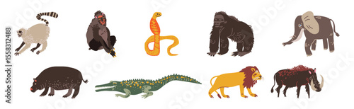 Savanna Tropical Animal and Wild Fauna Vector Set