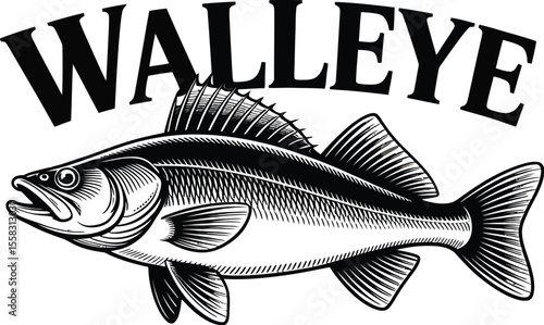 Illustration of a walleye fish with walleye text above it in black