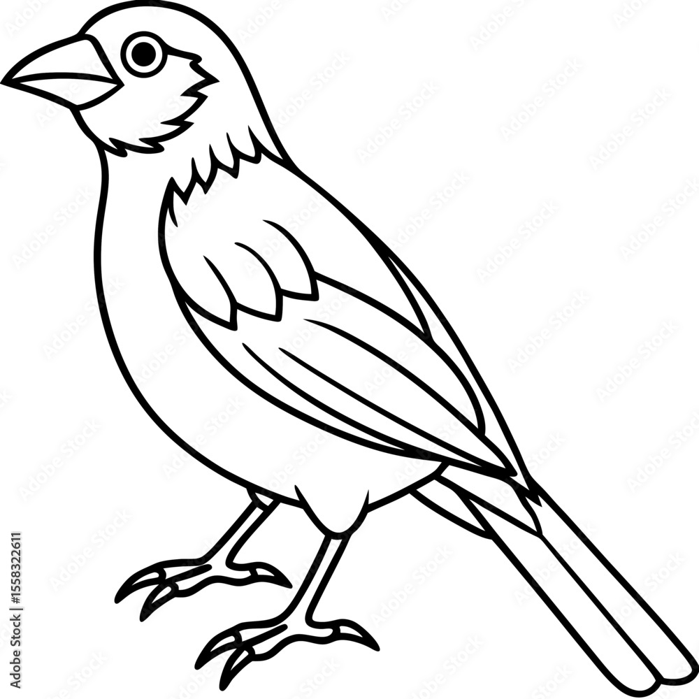Obraz premium Weaver Bird Silhouette Vector Drawing