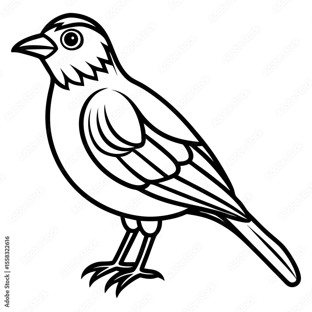 Obraz premium Weaver Bird Silhouette Vector Drawing