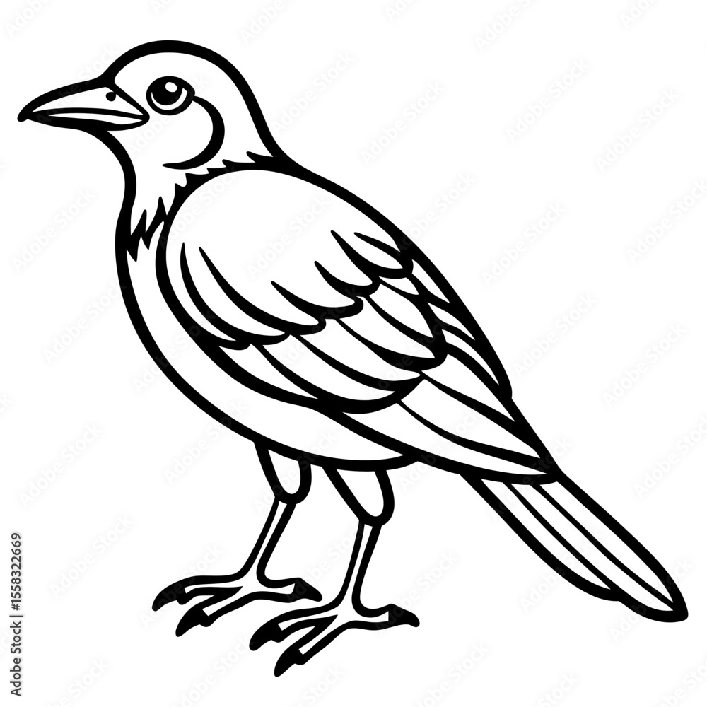 Obraz premium Weaver Bird Silhouette Vector Drawing