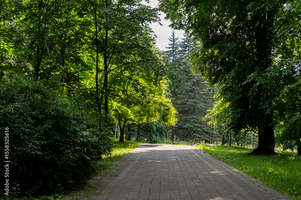 Naklejka premium Pathway in a lush green park surrounded by tall trees on a sunny day, inviting peaceful walks and relaxation