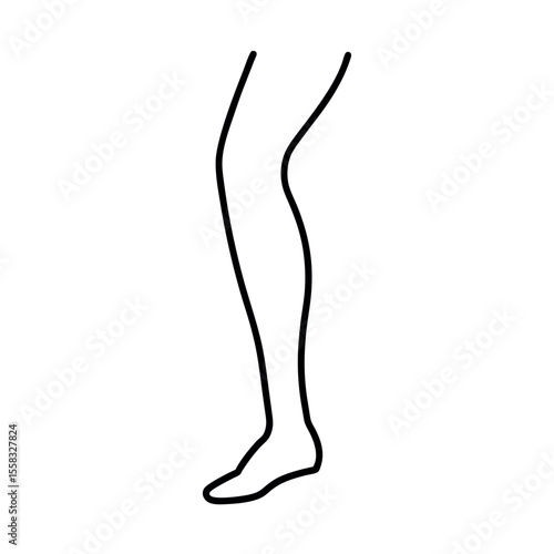 Leg Outline Line Art Vector Drawing