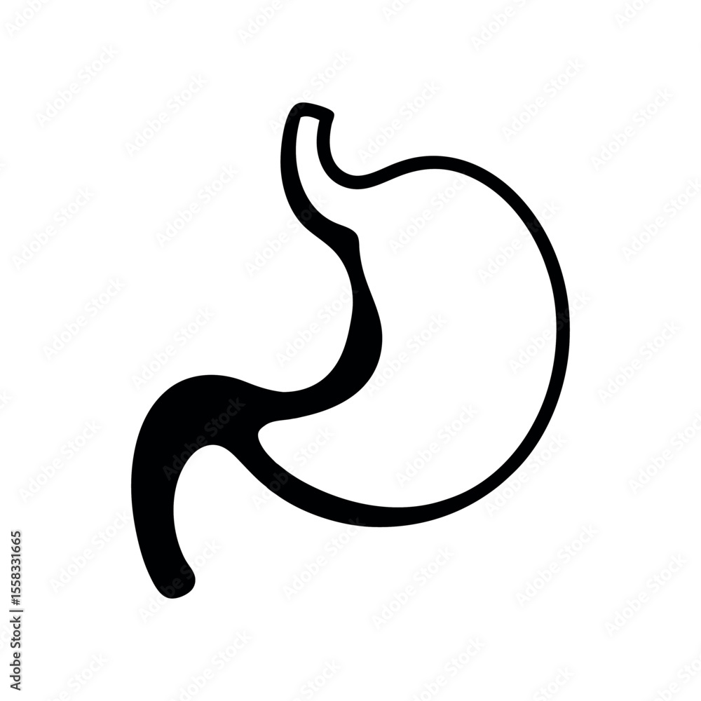 Stomach Minimal Silhouette Vector Art Stomach Minimal Silhouette Vector Art