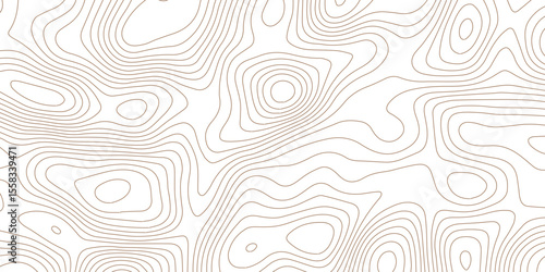 Abstract White Contour Background Featuring Smooth Topographic Line Mapping Design.