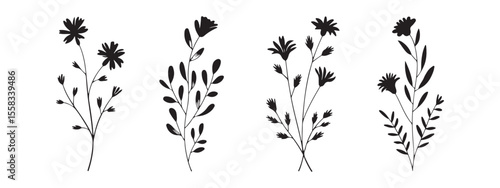 Flower bouquet Set. Silhouette in black. Compositions delicate wild flowers, meadow herbs, branches and leaves, garden plants. Vector illustration