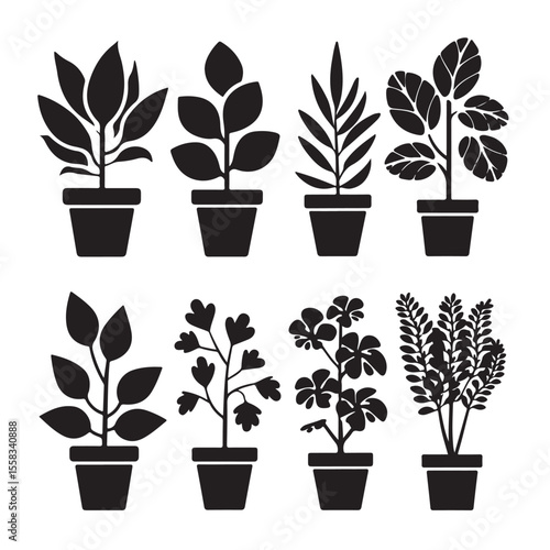 Potted houseplants set with vibrant green leaves and blooming flowers, illustrating small plants growing in various flowerpots