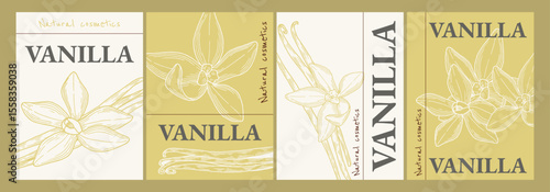 Vanilla Flower with Sticks Label set. Hand drawn vector illustration of Natural cosmetics design template with drawing of vanilla. Sketch in line art style for package of aromatherapy and spa.