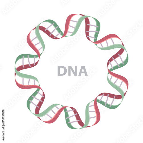 Round DNA frame. Flat vector illustration on white background. Eps 10.