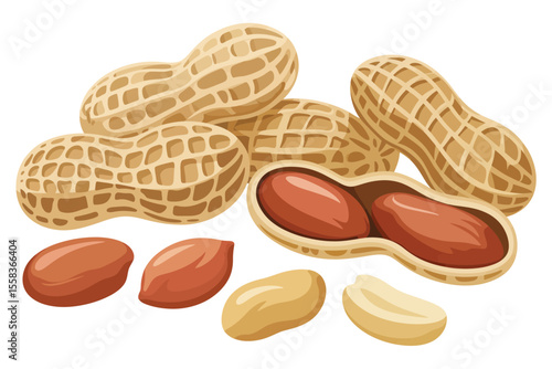 Collection of Whole and Shelled Peanuts