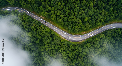 Aerial view of cars driving on a winding road through a lush green forest