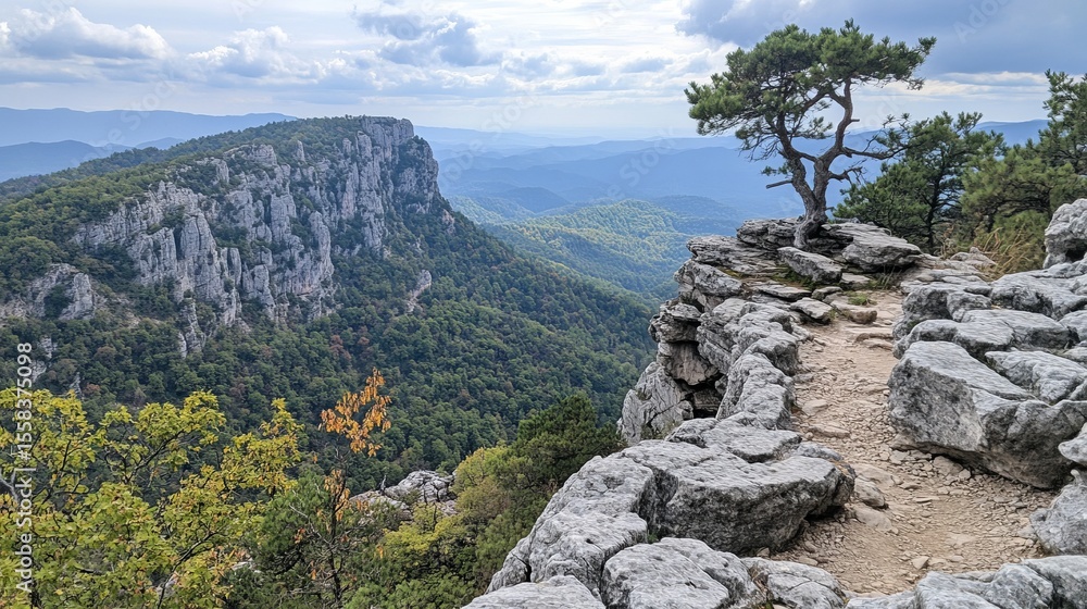 Obraz premium Panoramic view of a rocky mountain cliff with a solitary tree, overlooking a lush valley and distant mountains under a cloudy sky. A narrow path winds along the cliff edge