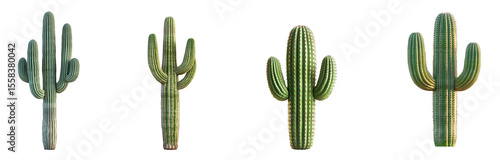 Collection of saguaro cacti, isolated on a transparent background