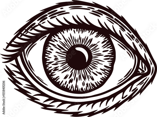 Detailed hand drawn human eye illustration with bold lines and intricate iris texture isolated on white background