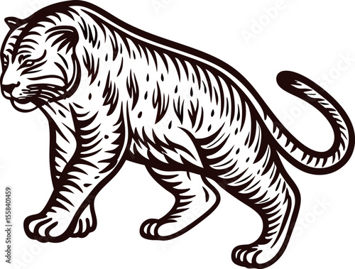 Wallpaper Mural Elegant vintage engraved tiger walking, classic hand drawn illustration with bold lines and detailed fur texture Torontodigital.ca