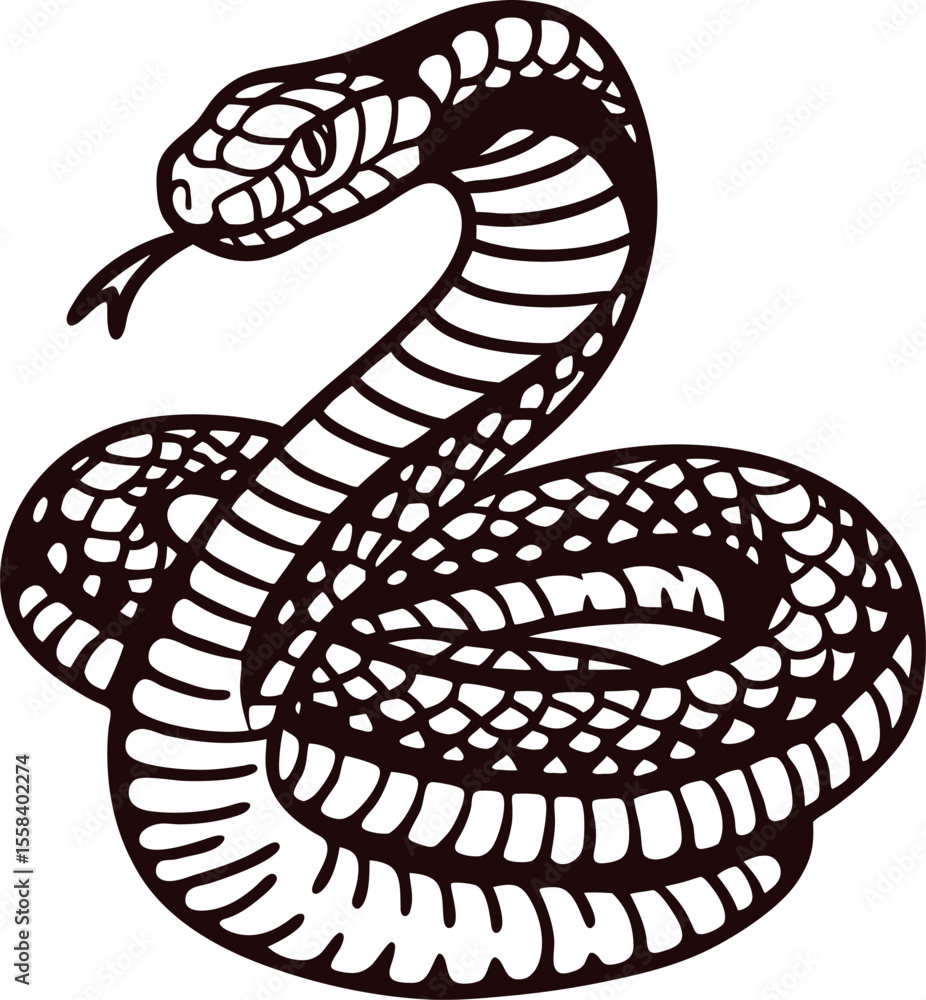 Fototapeta premium Coiled venomous snake with detailed scales and raised head, monochrome black and white illustration