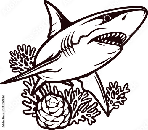 Hand drawn great white shark swimming among coral and sea pine cone in vintage engraving illustration