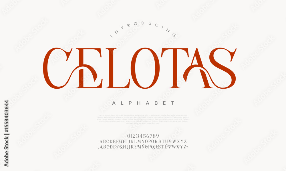 Decorative serif font with dramatic contrast and sharp terminals. Suited for luxury branding and editorial headlines Decorative serif font with dramatic contrast and sharp terminals. Suited for luxury branding and editorial headlines
