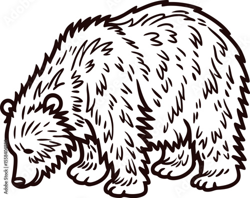 Hand drawn grizzly bear illustration with detailed fur in side profile pose