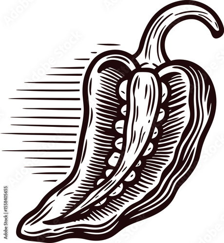 Vintage engraved illustration of a sliced chili pepper showing seeds and internal structure in black and white
