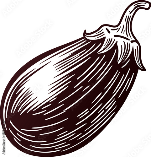 Hand drawn eggplant illustration isolated on white background vintage engraved botanical sketch