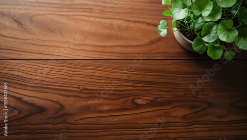 Wallpaper Mural Potted plant sitting on luxurious wooden table top Torontodigital.ca