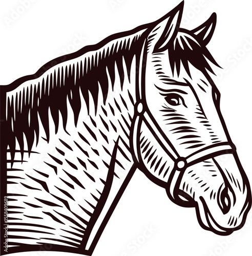 Engraved illustration of horse head in bridle vintage hand drawn animal portrait black and white sketch