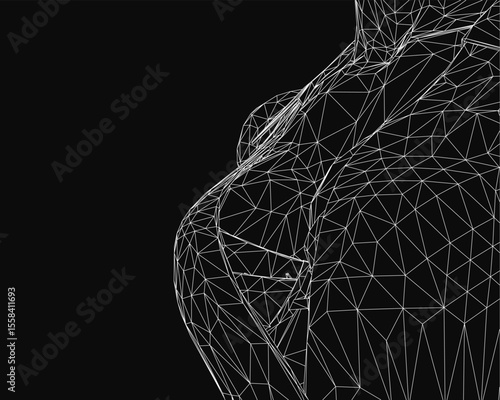 A black and white wireframe of a woman's torso composed of intricate lines and geometric shapes, set against a dark background. The abstract design highlights feminine curves with a modern